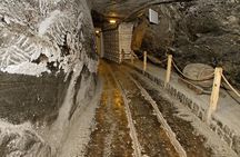 Auschwitz & Wieliczka ONE DAY Guided Tour +Private Transportation