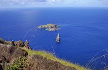 Rano Kau and Orongo: Half Day Private Tour