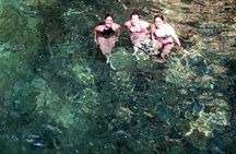 Waterfall Discovery