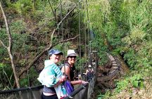 Waterfall Discovery