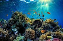 Amazing Snorkeling at Blue Lagoon