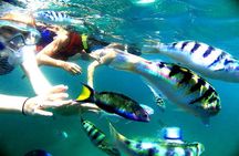 Amazing Snorkeling at Blue Lagoon