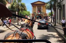 Charleston’s Old South Carriage Historic Horse & Carriage Tour