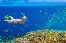 Private 3-Hour Snorkeling Tour with Arch Tour and Beach Time