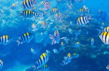 Private 3-Hour Snorkeling Tour with Arch Tour and Beach Time