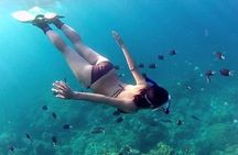 Private 3-Hour Snorkeling Tour with Arch Tour and Beach Time