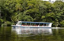 Sarapiqui River Cruise & Rainforest Walk. Private Tour