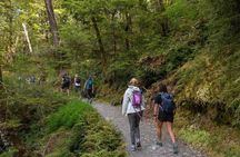 Routeburn Track Guided Hike (Full Day)