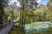 Routeburn Track Guided Hike (Full Day)
