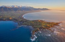 Kaikoura Whale Watching - Ultimate Experience 