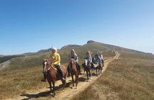 Short Horseback riding - Kolasin