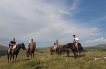 Short Horseback riding - Kolasin