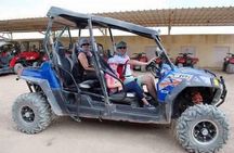 Ultimate Desert Experience - Family Buggy