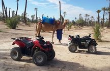 From Marrakech: Palm Grove Quad Bike and Camel Ride Tour