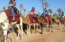 From Marrakech: Palm Grove Quad Bike and Camel Ride Tour