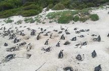 Cape of Goodhope Tour a Full Day Exploring the Cape Peninsula