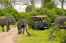 Chobe Full Day Trip