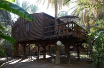 Sahara Prestige Tour from Hammamet or Sousse