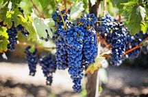 Chisinau City Tour - Cricova Winery