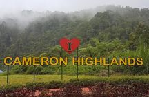 Cameron Highlands Amazing Day Trip Tour with Local Lunch