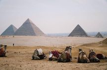 Full Day Tour to Pyramids of Giza, Saqqara Step Pyramids & Sound and Light Show