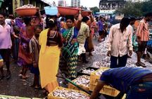 Full day mumbai city tour