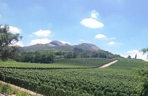 Private Full Day Tour in Cape Winelands