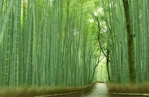 Kyoto Sagano Bamboo Grove & Arashiyama Walking Tour