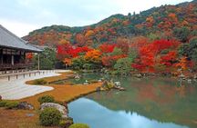 Kyoto Sagano Bamboo Grove & Arashiyama Walking Tour