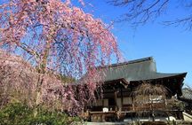 Kyoto Sagano Bamboo Grove & Arashiyama Walking Tour