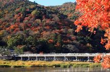 Kyoto Sagano Bamboo Grove & Arashiyama Walking Tour