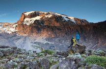 8 Days Mount Kilimanjaro Lemosho Route Climb