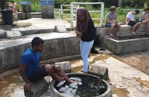 Batu Caves,Waterfalls and Hot Springs Tour With Lunch
