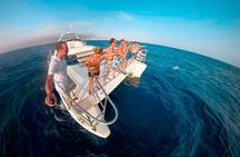 Whale and Dolphin Watching Catamaran with Transfer and Buffet 