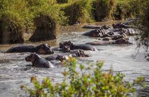 serengeti & ngorongoro 3 days private tour