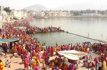 Pushkar Day Trip from Jaipur – Private Car, Safari, Guide & Lunch