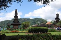 North Bali Jungle Treking with Waterfall and Top Temple Visit