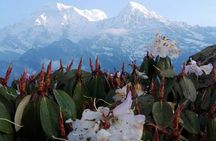 Mardi Himal Trek - 12 Days