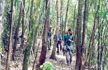 Full day: Hoi An - Bach Ma National Park