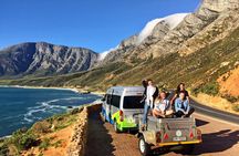 6-Day Garden Route & Addo South African Adventure from Cape Town