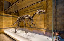London Natural History Museum Dinosaur Discovery Family Tour