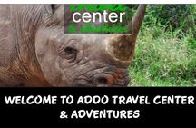 Full day big 5 addo Safari 