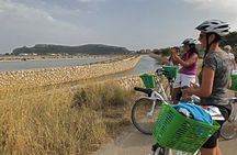 Cagliari E-Bike Tour: Gulf, Canals & Flamingos at Molentargius