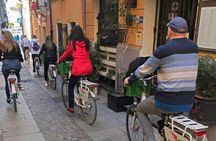 Cagliari E-Bike Tour: Gulf, Canals & Flamingos at Molentargius
