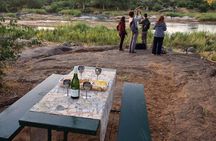 6 Day Lodge and Treehouse Kruger National Park Safari