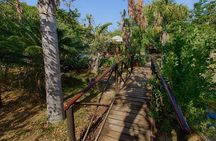 6 Day Classic Kruger National Park Safari from Johannesburg 