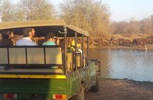 3 Day Lodge/Treehouse Kruger National Park Safari
