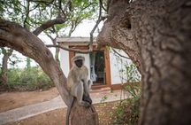 5 Day Classic Kruger National Park Safari