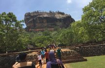 Sigiriya & Dambulla Day Tour