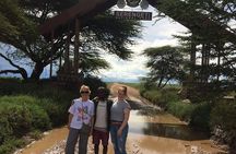 Camping to Serengeti & Ngorongoro Premium Parks 